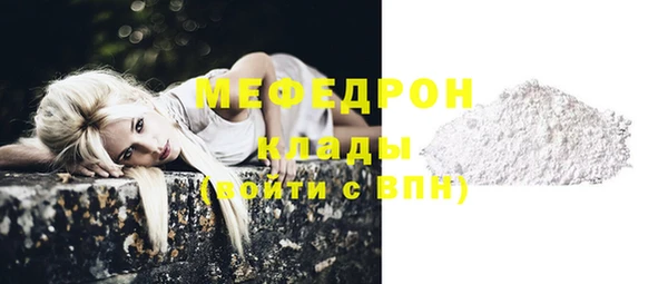 дживик Инта