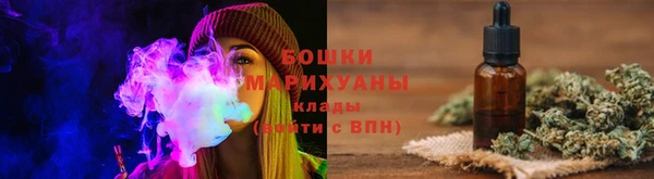 дживик Инта