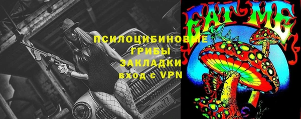 дживик Инта