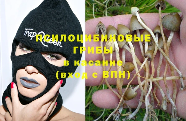 дживик Инта
