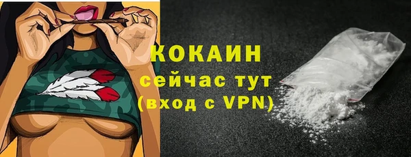 дживик Инта