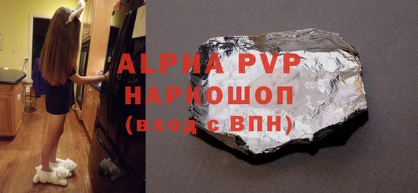 дживик Инта