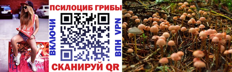 Псилоцибиновые грибы ЛСД  Купить  Калач-на-Дону 
